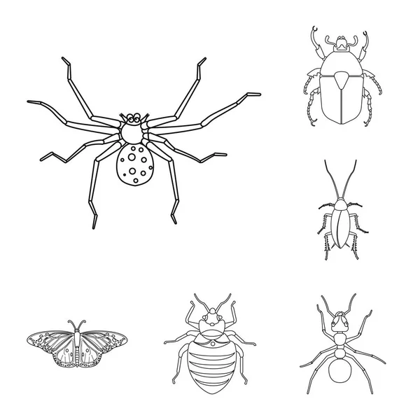 곤충 및 비행 상징의 벡터 그림입니다. 주식에 대 한 곤충 및 요소 벡터 아이콘의 컬렉션. — 스톡 벡터
