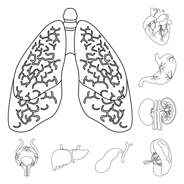 Conception vectorielle du corps et du signe humain. Ensemble d'icône de corps et de vecteur médical pour stock . — Image vectorielle