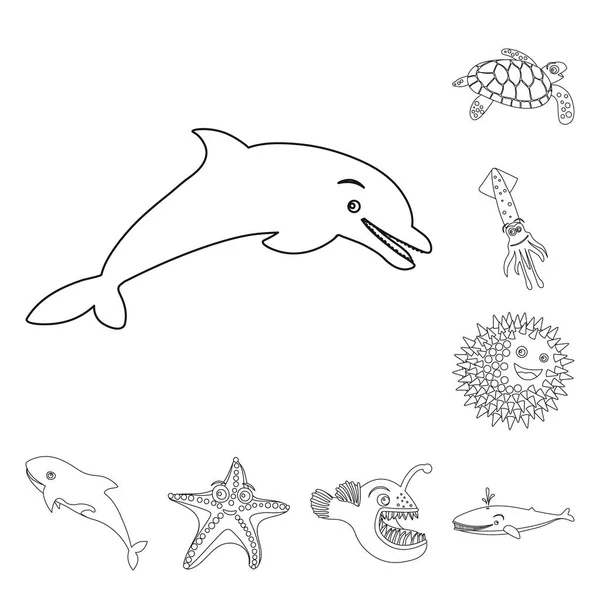 Vector illustration of sea and animal icon. Set of sea and marine vector icon for stock. — Stock Vector