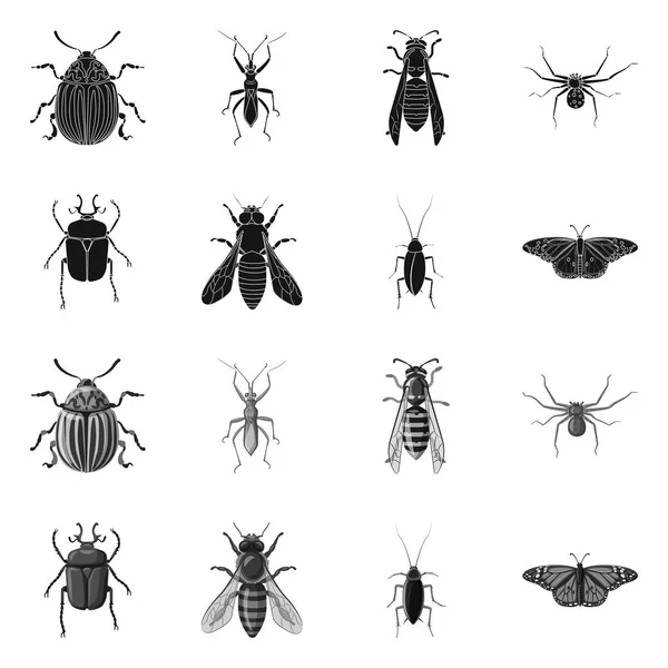 昆虫やフライの記号のベクター デザイン。Web の昆虫と要素のストック シンボルのコレクション. — ストックベクタ