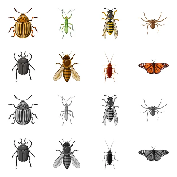 Projeto vetorial do ícone do inseto e da mosca. Coleção de ícone de inseto e elemento vetorial para estoque . — Vetor de Stock
