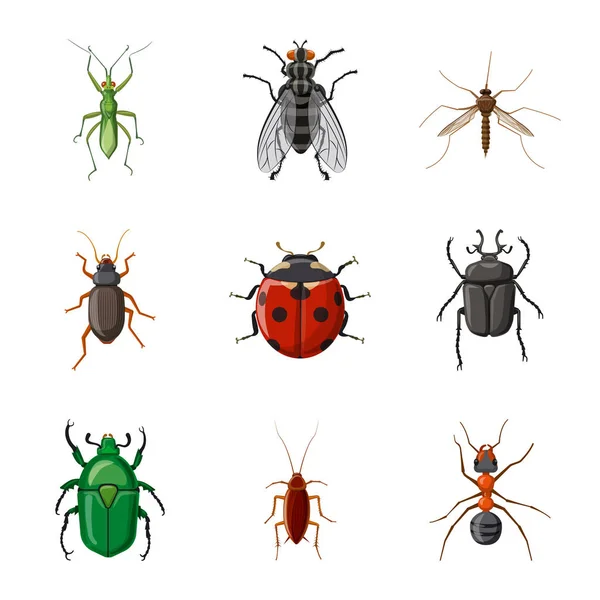 Diseño vectorial del signo de insectos y moscas. Colección de insectos y elemento vector icono para stock . — Archivo Imágenes Vectoriales