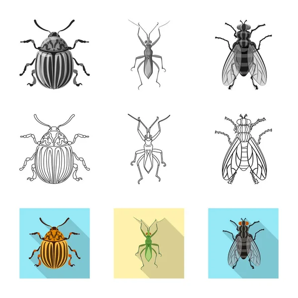 Ilustração vetorial de inseto e mosca. Conjunto de ícone de inseto e elemento vetorial para estoque . —  Vetores de Stock