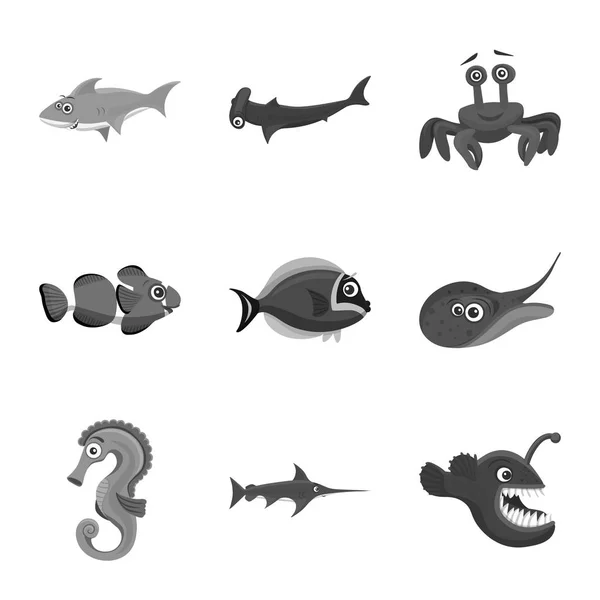 Vector illustration of sea and animal symbol. Collection of sea and marine vector icon for stock. — Stock Vector