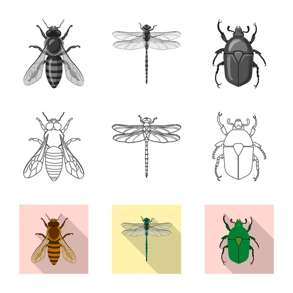 Vektordesign Von Insekten Und Fliegensymbol Sammlung Von Insekten Und Elementaktivvektordarstellungen — Stockvektor