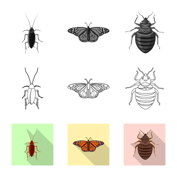 Diseño vectorial del símbolo de insectos y moscas. Colección de insectos y elemento vector icono para stock . — Vector de stock