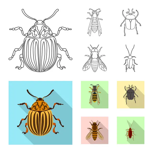 Ilustração vetorial de inseto e mosca símbolo. Coleção de ilustração vetorial de estoque de insetos e elementos . — Vetor de Stock