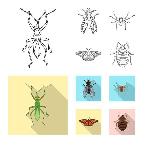 Illustration vectorielle du symbole insecte et mouche. Ensemble de symbole de stock d'insectes et d'éléments pour la toile . — Image vectorielle