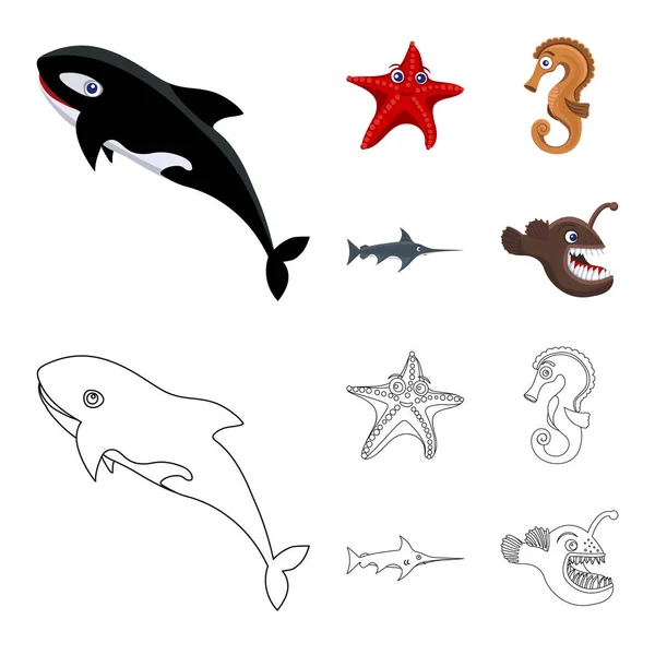 Projeto vetorial do ícone do mar e dos animais. Coleção de mar e símbolo de estoque marinho de web . — Vetor de Stock