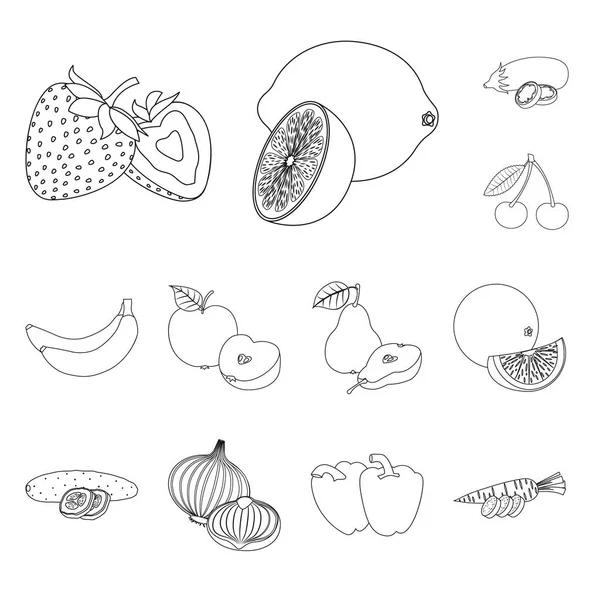 Objet isolé de légume et de fruit logo. Collection de légumes et de légumes symbole de stock pour la toile . — Image vectorielle
