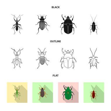 Böcek ve sinek işareti vektör tasarımı. Böcek ve öğe hisse senedi simgesi için web topluluğu.