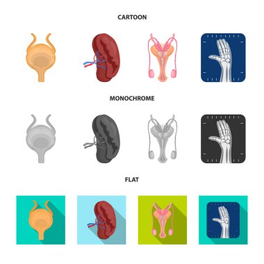 Vücut ve insan simge vektör tasarımı. Vücut ve hisse senedi için tıbbi vektör simge kümesi.