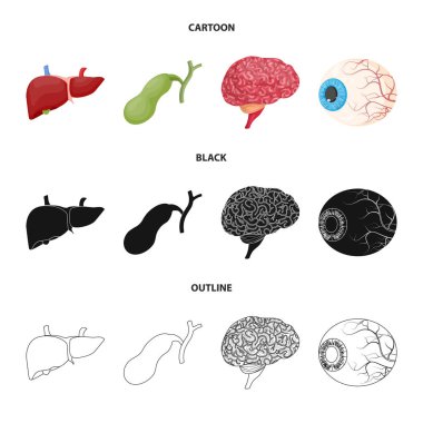 Vücut ve insan simge vektör tasarımı. Vücut ve web için tıbbi hisse senedi simgesi toplama.