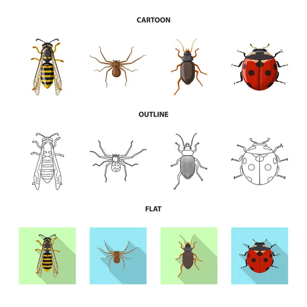 Ilustração vetorial de inseto e mosca. Conjunto de símbolo de estoque de insetos e elementos para web . —  Vetores de Stock