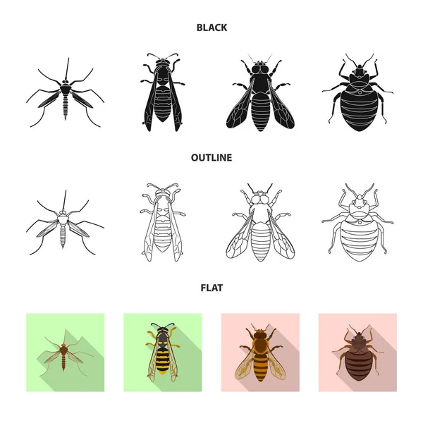 곤충 및 비행 아이콘의 고립 된 개체입니다. 곤충 및 요소 주식 벡터 일러스트 레이 션의 컬렉션. — 스톡 벡터