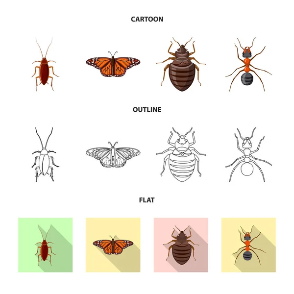 곤충 및 비행 상징의 고립 된 개체입니다. 웹에 대 한 곤충과 요소 주식 기호 모음. — 스톡 벡터
