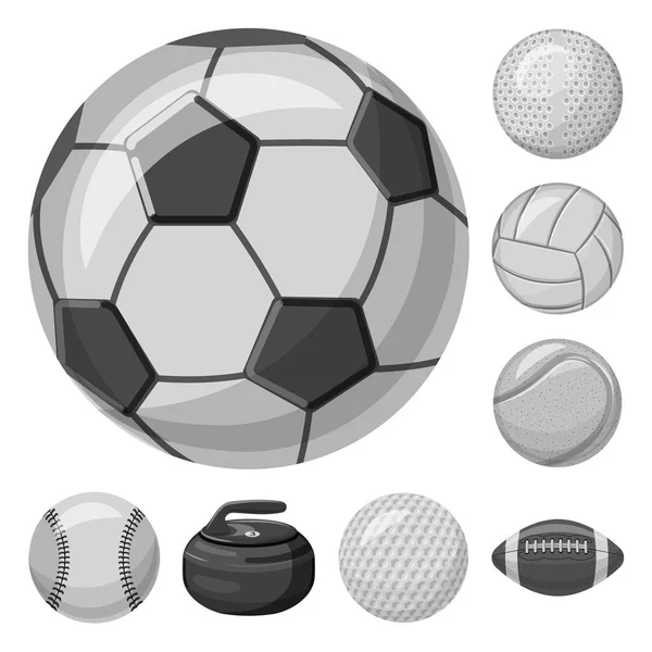 Izolovaný objekt sport a míč Sign. Kolekce sport a sportovní vektorové ikony pro stock. — Stockový vektor