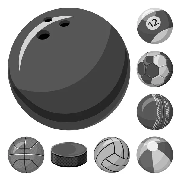 Diseño vectorial del logo del deporte y la pelota. Conjunto de deporte y símbolo de stock atlético para web . — Vector de stock