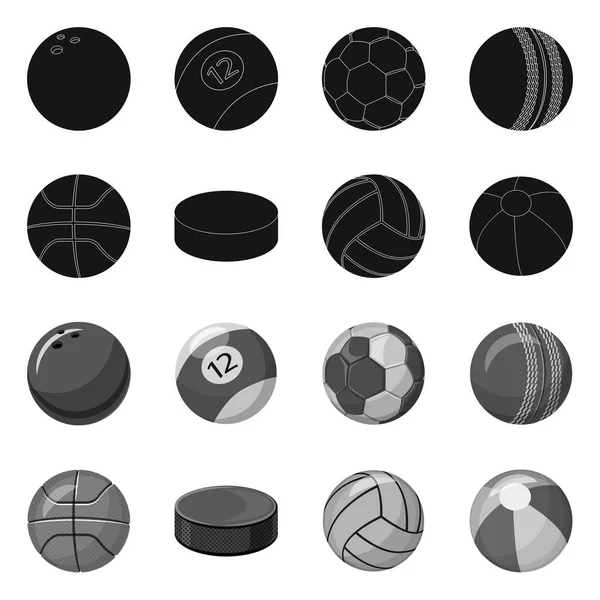 Oggetto isolato di sport e logo palla. Raccolta di illustrazioni vettoriali sportive e sportive . — Vettoriale Stock