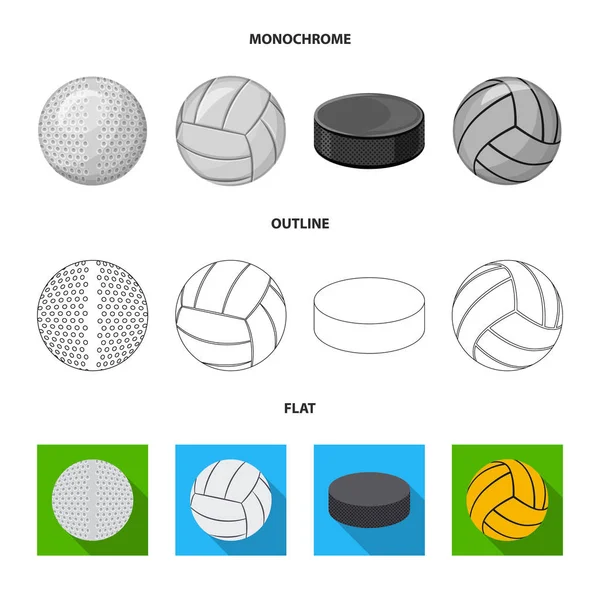 Isolated Object Sport Ball Symbol Set Sport Athletic Stock Vector — Stock Vector