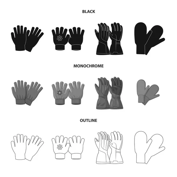 Vektor-Design von Handschuhen und Winterlogo. Set von Handschuhen und Ausrüstung Vektor-Symbol für Lager. — Stockvektor