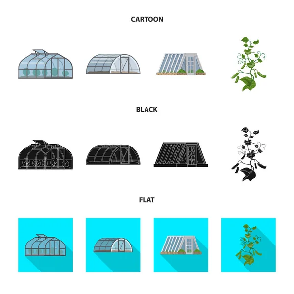 Ilustracja wektorowa cieplarnianych i roślina symbol. Zestaw cieplarnianych i ogród Stockowa ilustracja wektorowa. — Wektor stockowy