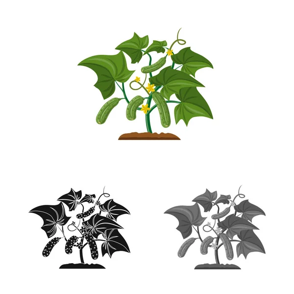 온실과 식물 로그인의 디자인 벡터. 온실 및 재고에 대 한 정원 벡터 아이콘 세트. — 스톡 벡터