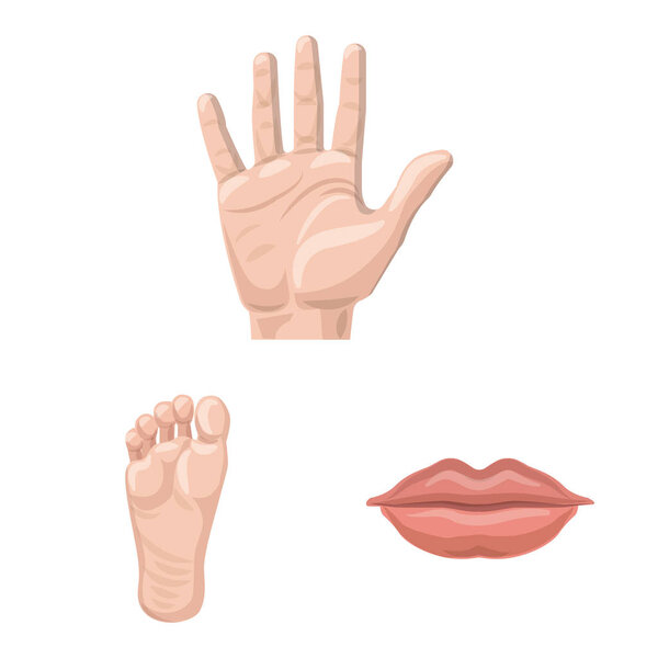 Vector illustration of human and part logo. Collection of human and woman vector icon for stock.