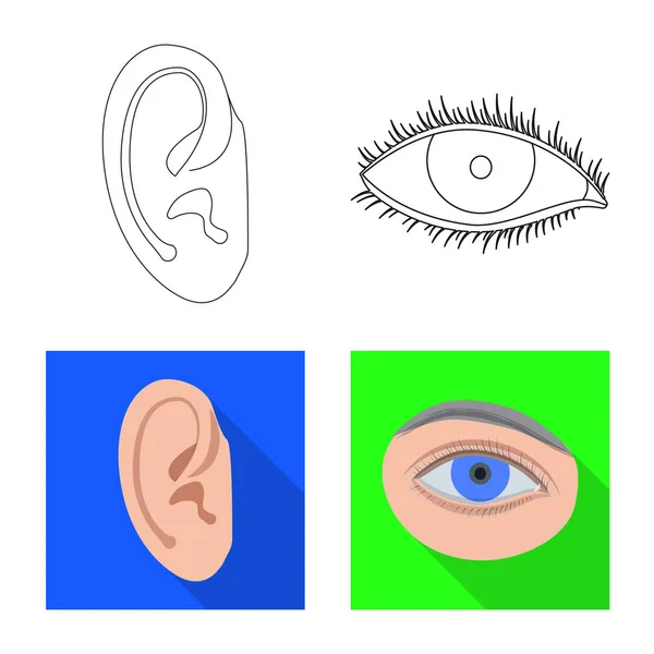 Isoliertes Objekt des menschlichen und Teil-Symbols. Sammlung menschlicher und weiblicher Aktienvektorillustrationen. — Stockvektor