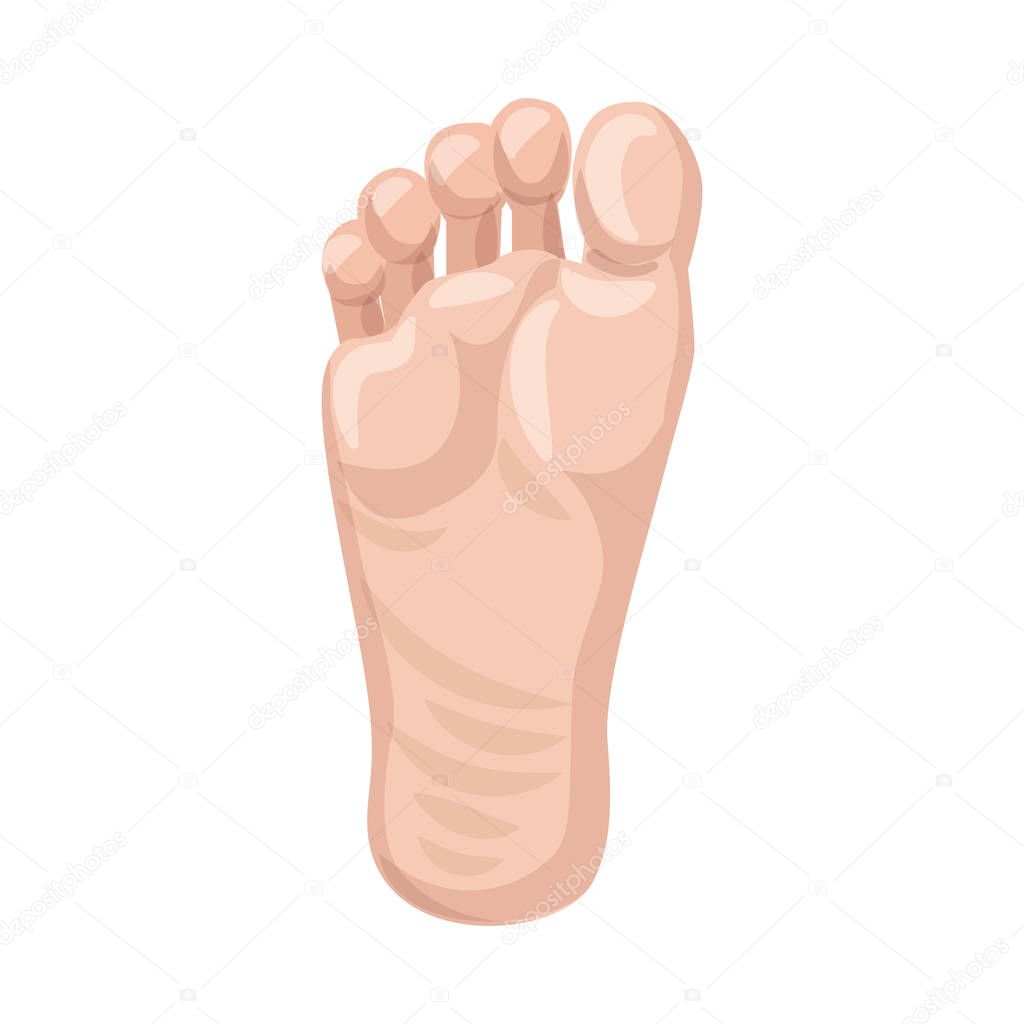 Vector design of human and part icon. Collection of human and woman stock symbol for web.