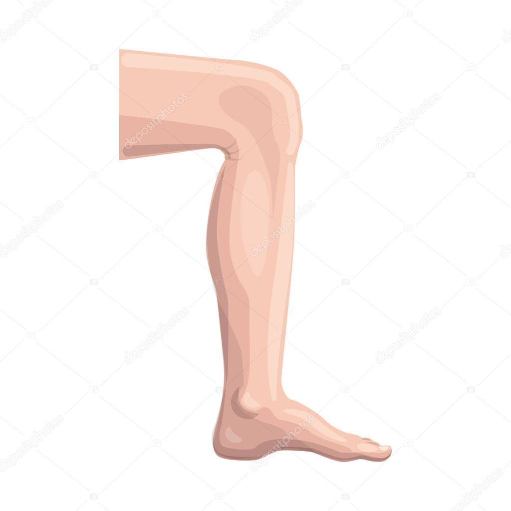 Vector illustration of human and part symbol. Collection of human and woman vector icon for stock.