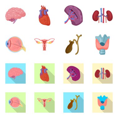 Vücut ve insan işareti yalıtılmış nesne. Vücut ve tıbbi hisse senedi vektör çizim koleksiyonu.