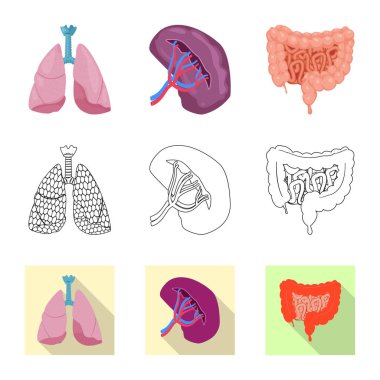 Vücut ve insan simge vektör Illustration. Vücut ve tıbbi hisse senedi vektör çizim.