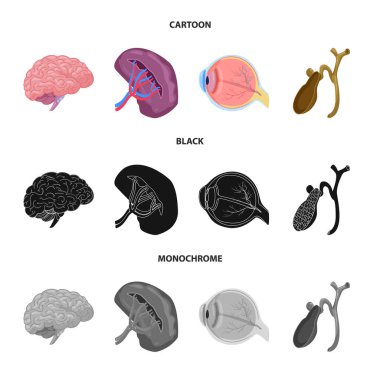 Vücut ve insan sembolü yalıtılmış nesne. Vücut ve hisse senedi için tıbbi vektör ikon koleksiyonu.