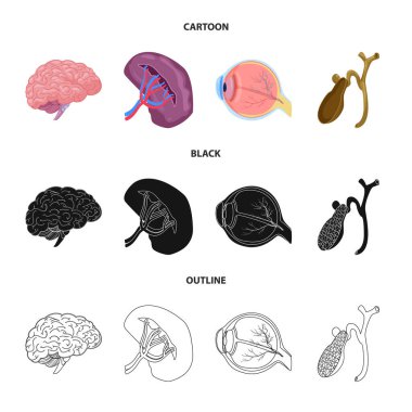 Vücut ve insan simge vektör tasarımı. Vücut ve tıbbi hisse senedi vektör çizim koleksiyonu.