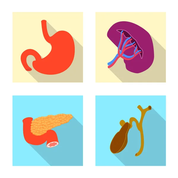 Ilustración vectorial del cuerpo y el logotipo humano. Colección de ilustración de vectores de cuerpo y stock médico . — Archivo Imágenes Vectoriales