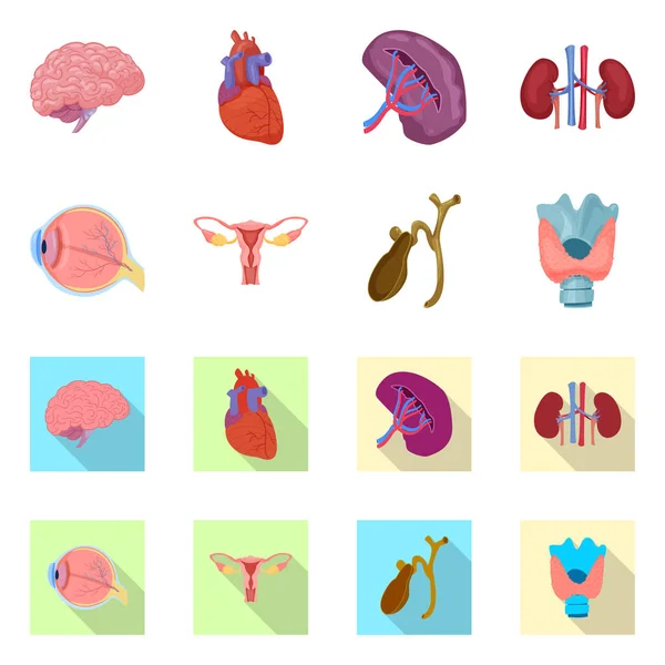 Isoliertes Objekt des Körpers und des menschlichen Zeichens. Sammlung von Körper- und medizinischen Bestandsvektorillustrationen. — Stockvektor