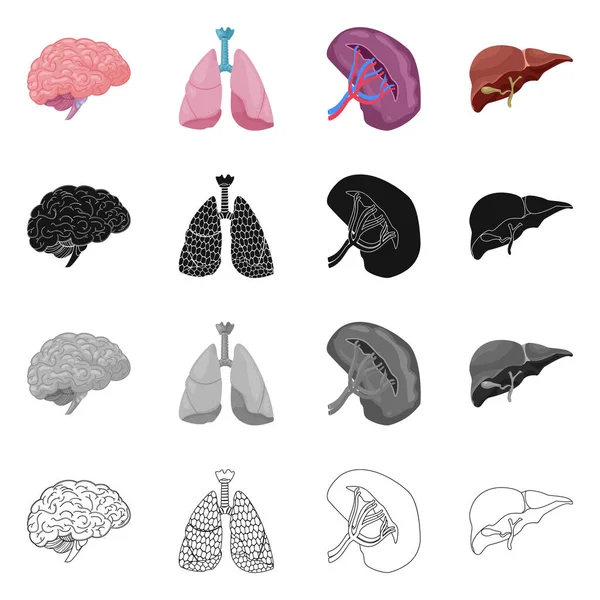Projeto vetorial de corpo e logotipo humano. Coleção de corpo e ícone de vetor médico para estoque . — Vetor de Stock