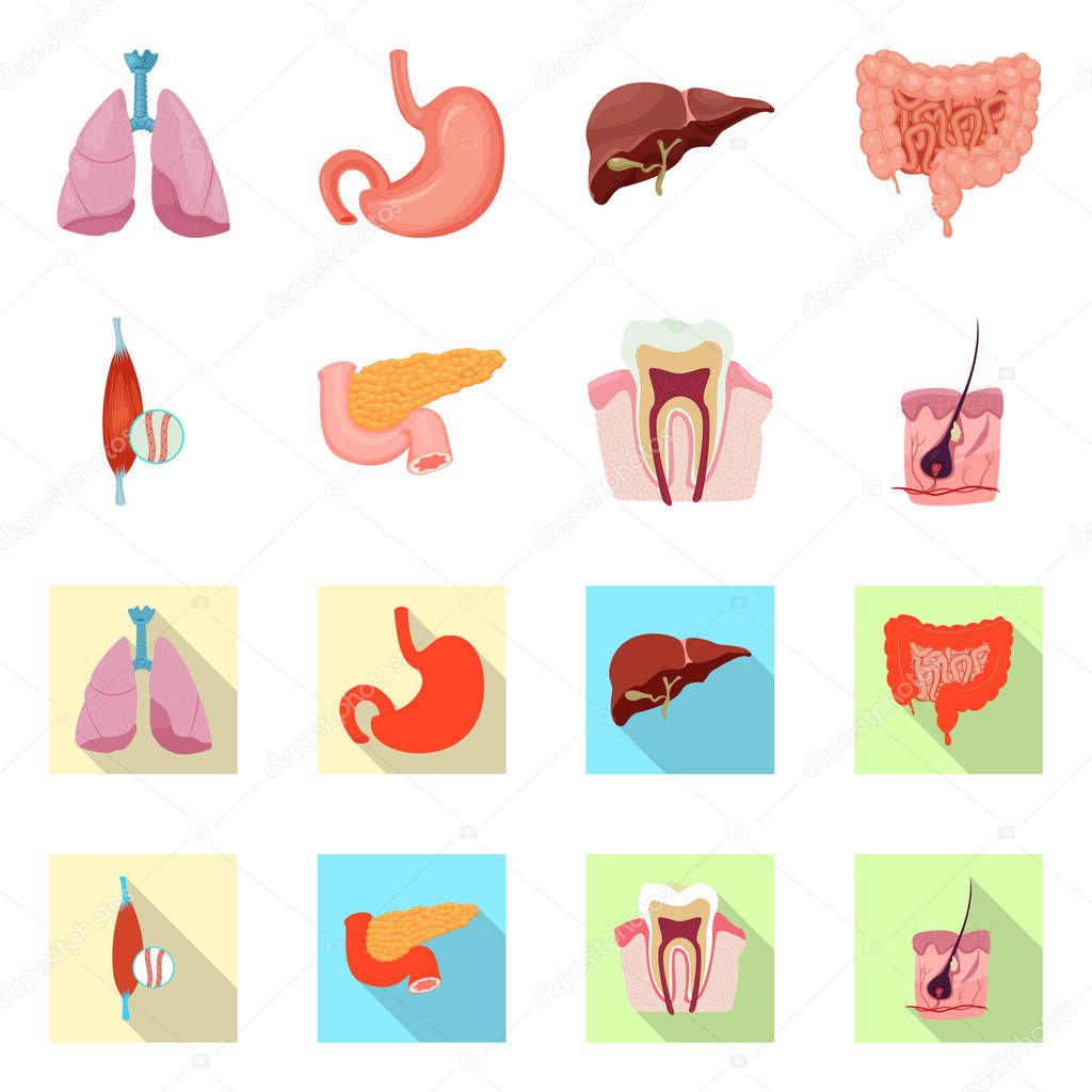 Vector illustration of body and human icon. Collection of body and medical stock symbol for web.