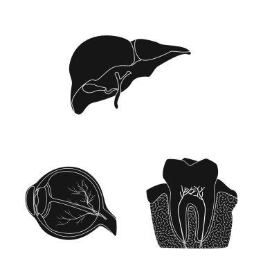 Vücut ve insan izole nesne. Vücut ve web için tıbbi hisse senedi simgesi toplama.