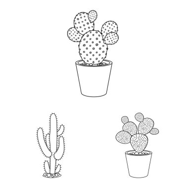 Kaktüs ve pot simgesi yalıtılmış nesne. Kaktüs ve kaktüsler hisse senedi vektör çizim.