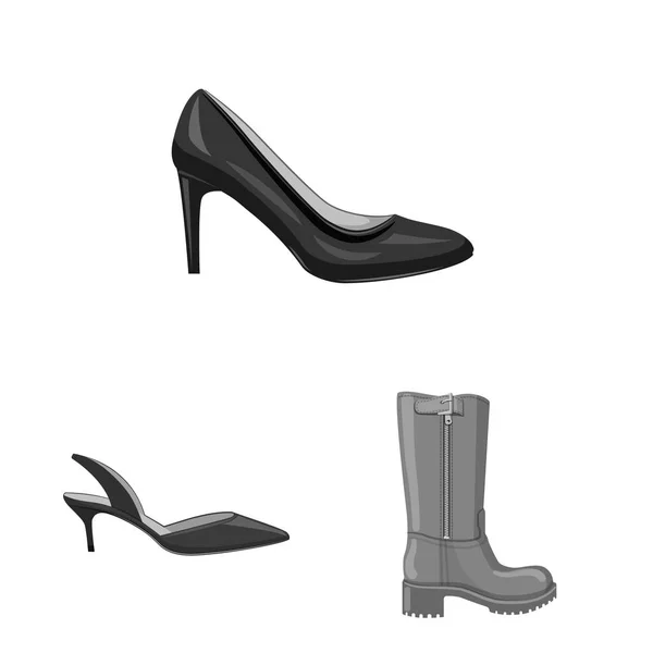 Diseño vectorial de calzado y símbolo de mujer. Colección de calzado y pie vector icono para stock . — Archivo Imágenes Vectoriales