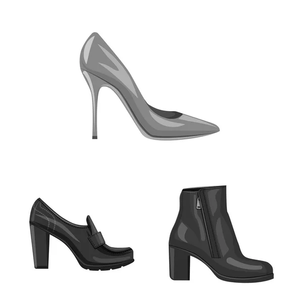 Illustrazione vettoriale di calzature e segno di donna. Serie di calzature e piedi stock illustrazione vettoriale . — Vettoriale Stock