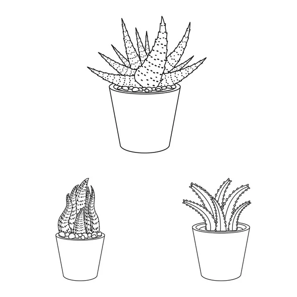 Vektorillustration Von Kaktus Und Topfschild Set Von Kakteen Und Kakteen — Stockvektor