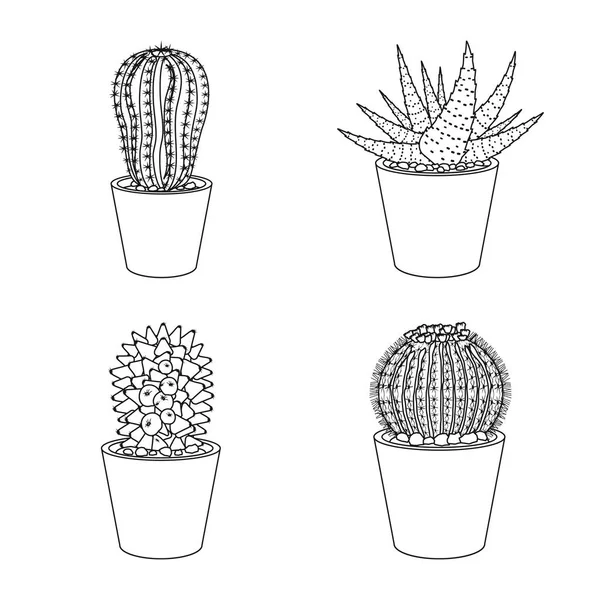 Vektor design av kaktus och potten ikonen. Samling av kaktus och kaktusar lager vektorillustration. — Stock vektor