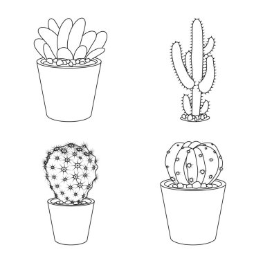 Kaktüs ve pot işareti tasarımını vektör. Kaktüs ve kaktüsler koleksiyonu stok web simgesi.