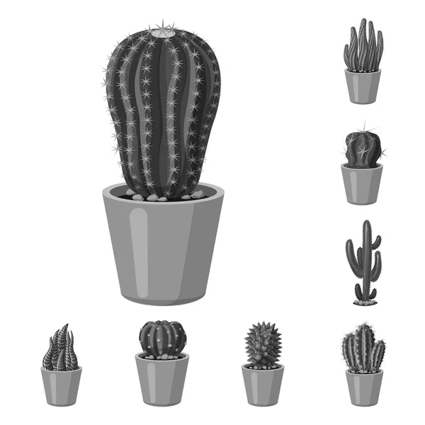 Vector illustration of cactus and pot icon. Set of cactus and cacti stock vector illustration. — Stock Vector