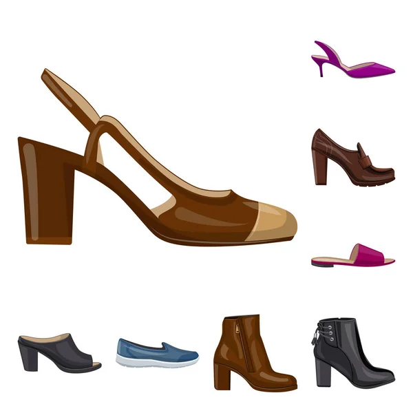 Vektorillustration von Schuhen und Frauensymbol. Kollektion von Schuhen und Fußstock-Vektorillustration. — Stockvektor