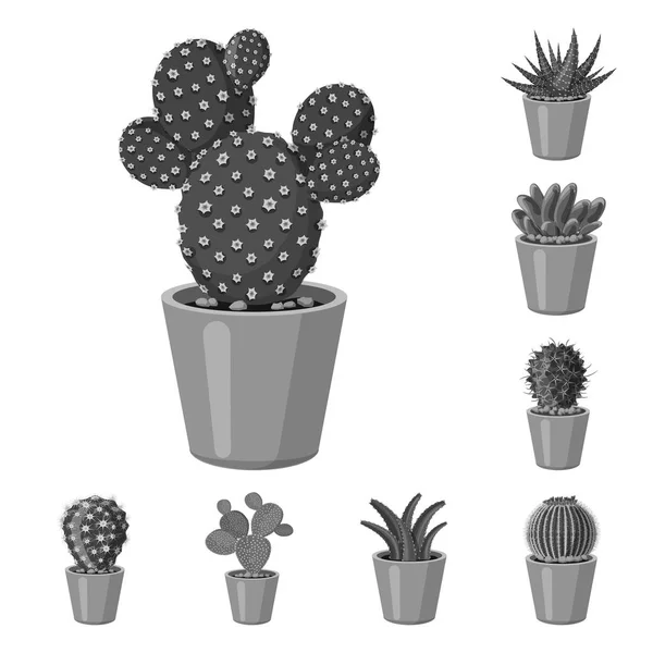 Diseño vectorial de cactus y logotipo del pote. Conjunto de cactus y cactus vector icono para stock . — Vector de stock