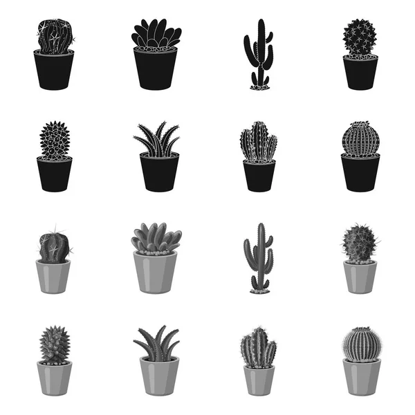 Diseño vectorial de cactus y logotipo del pote. Colección de cactus y cactus stock vector ilustración . — Archivo Imágenes Vectoriales